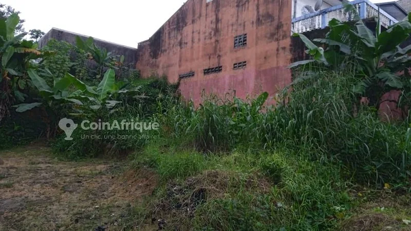 Terrain 500 m² – Douala