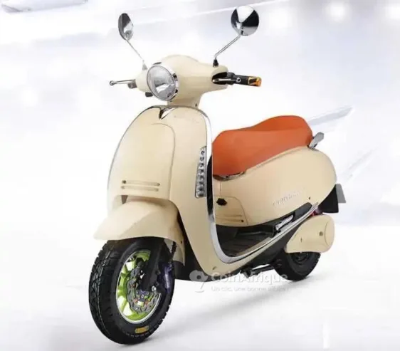 Scooter électrique