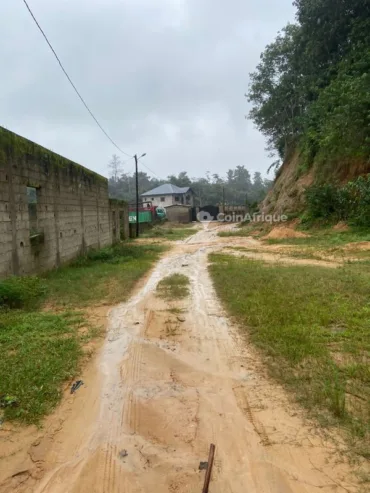 Terrain 3000 m² – Douala