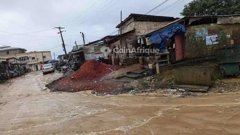 Terrain 500 m² – Douala