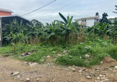 Terrain 875 m² – Douala