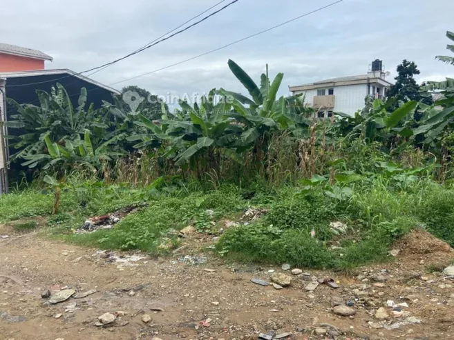 Terrain 875 m² – Douala