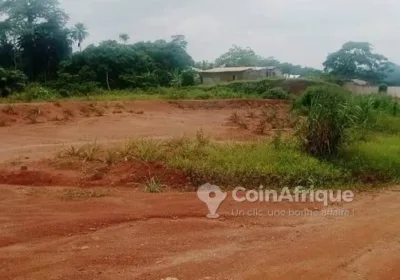 Terrain – Yaoundé