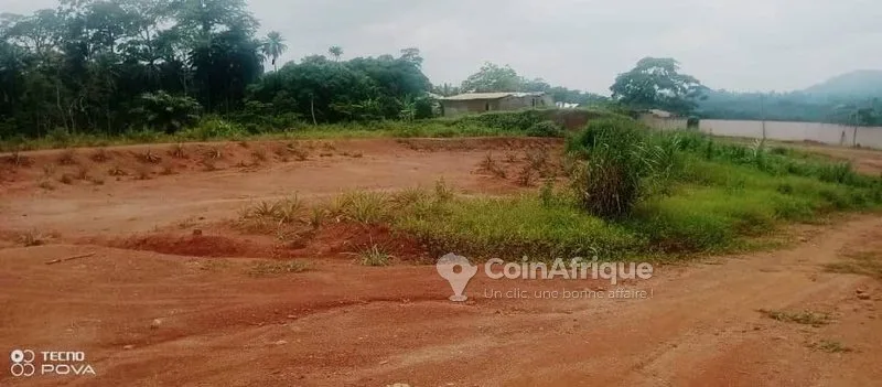 Terrain – Yaoundé