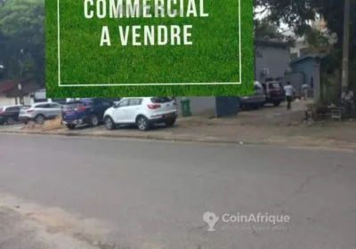 Terrain commercial 200 m² – Bonamoussadi