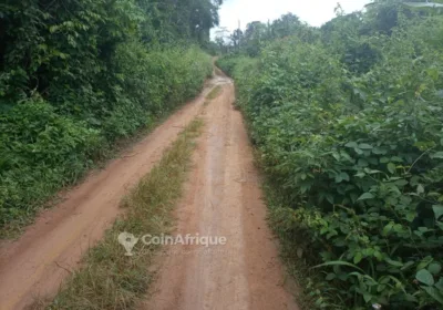 Terrain titré -Yaoudé