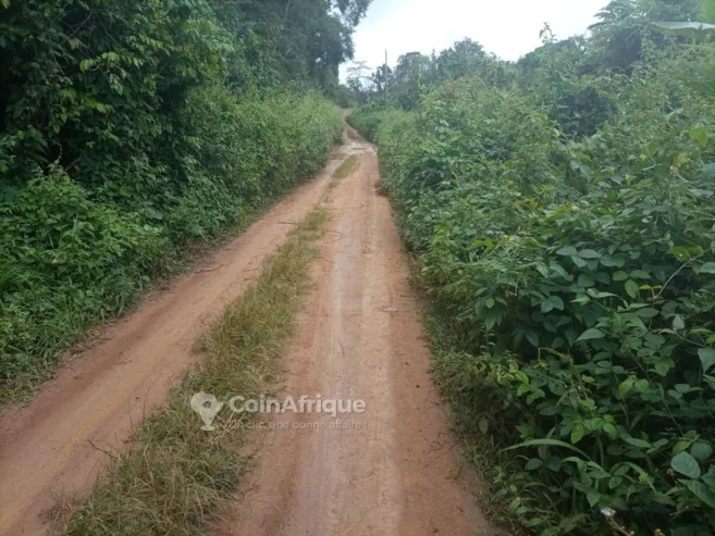 Terrain titré   -Yaoudé