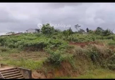 Terrains 40000m² – Douala