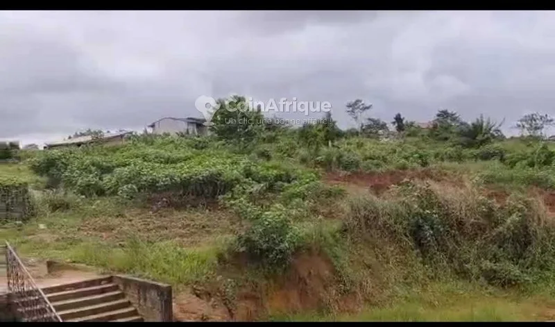 Terrains 40000m²  – Douala