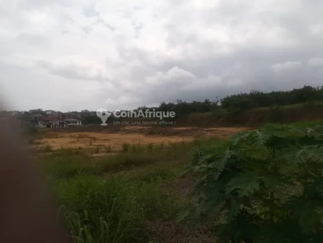 Terrain 1000 m² – Douala