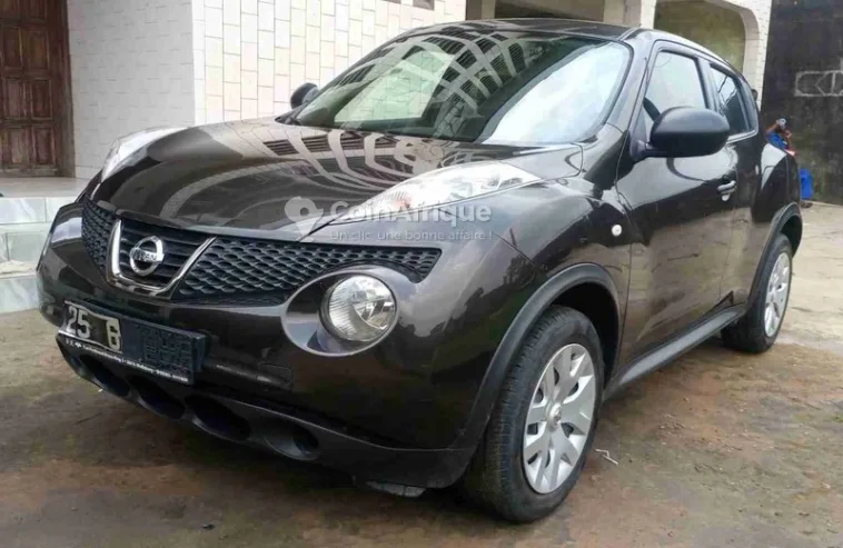 Nissan Juke 2013