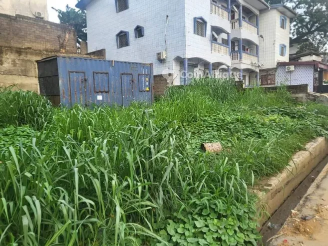 Location terrains agricoles 200 m2 – Douala