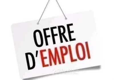 Offre d’emploi – Nounou