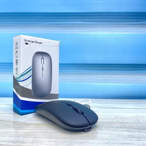 Souris Bluetooth rechargeable