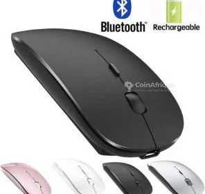 Souris sans fil rechargeable