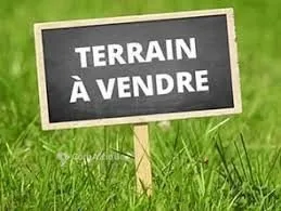 Terrain 1000 Hectares – Souza