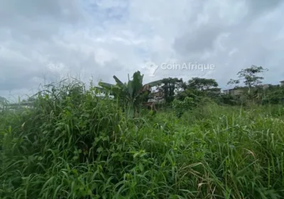 Terrain 1000 m² – Douala