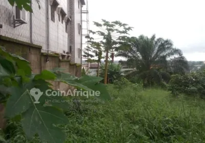 Terrain 1000m² – Douala