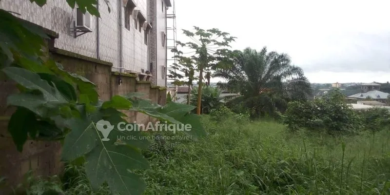 Terrain 1000m² –  Douala