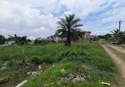 Terrain 400 m² – Douala