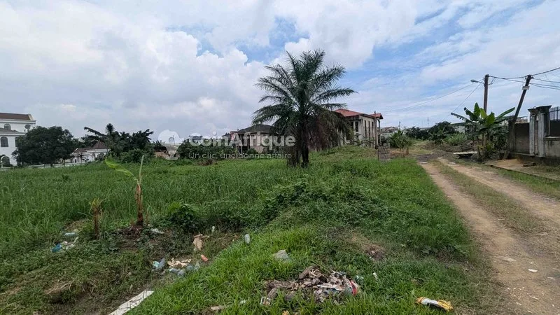 Terrain 400 m² – Douala