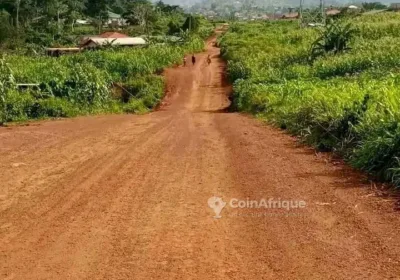 Terrain – Ngombe Village