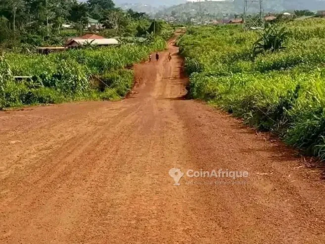 Terrain – Ngombe Village