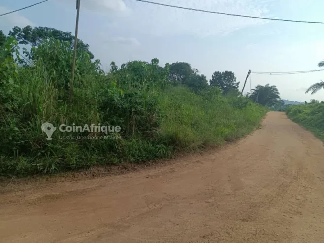 Terrain agricole 1 ha – Douala