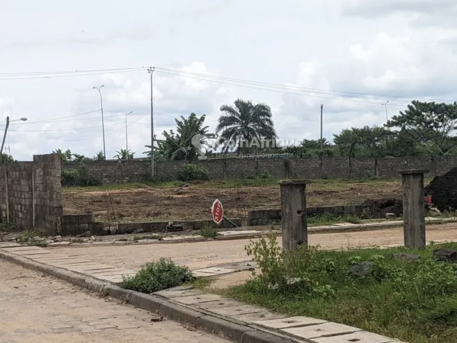 Terrain  agricole 12000m²- Douala