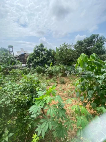 Terrain agricole 300 m² – Douala