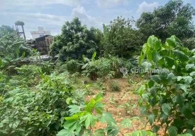 Terrain agricole 300 m² – Douala