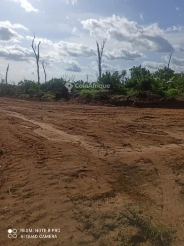 Vente Terrain agricole 40 ha – Dibamba Missolè ll