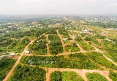 vente terrains 10000 – douala ngoma