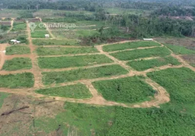 vente terrains agricoles 10000- douala