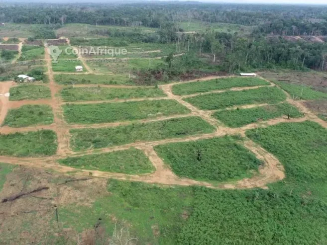 vente terrains agricoles 10000- douala