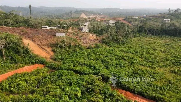 Terrains titré a Ngombe