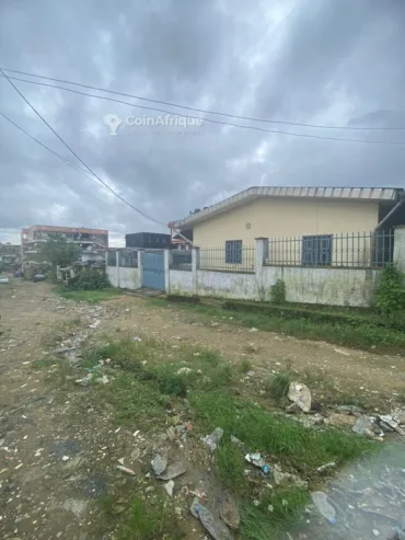 Terrain 400 m² – Douala