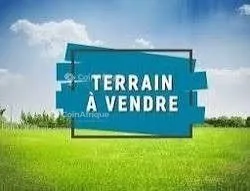 Terrain 420m² – Bonapriso Hydrocarbure