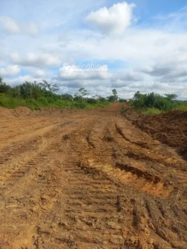 Terrain titré à Yassa