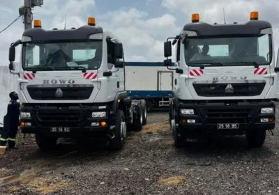 Dongfeng Howo Sinotruck 2023