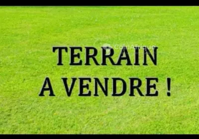 TERRAIN titré 5000m² à yassa