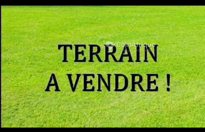 TERRAIN titré 5000m² à yassa