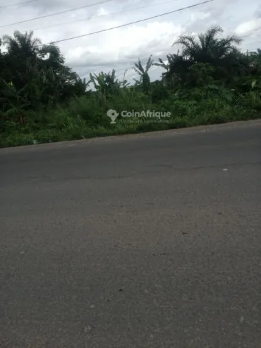 Terrain 3000 m² – Douala