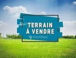 Terrain 300m² – Sad Bonaberi