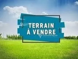 Terrain 3500m² – Bonamoussadi Collège Lauréat Goudron Goudron