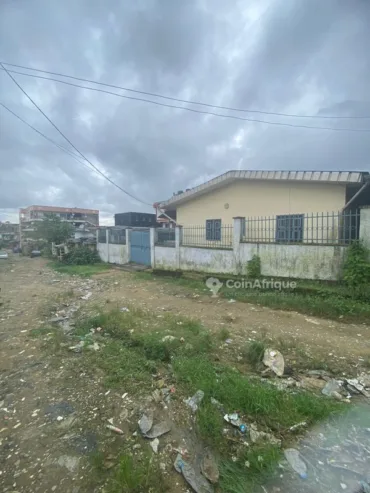 Terrain 400 m² – Douala