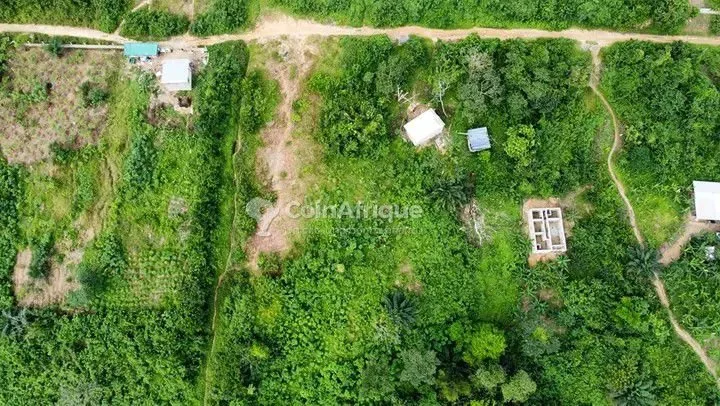 Terrain – Bafoussam