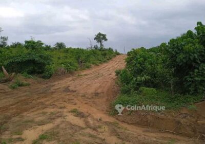 Terrain – Douala Ngombe village