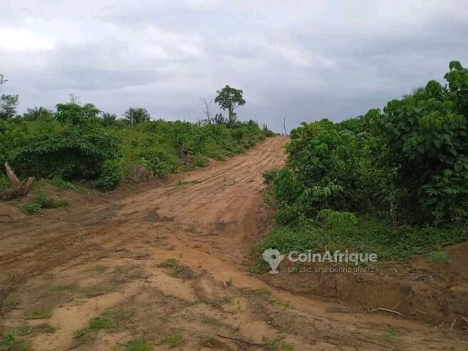 Terrain – Douala Ngombe village