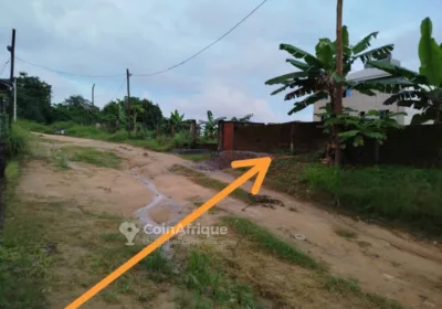 Terrain à yassa nkolbong